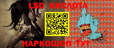 индика Можга