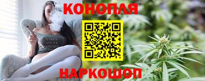 индика Можга