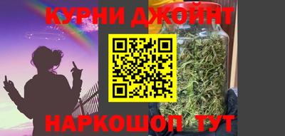 индика Можга