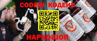 индика Можга