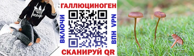 Галлюциногенные грибы мицелий  Волоколамск 