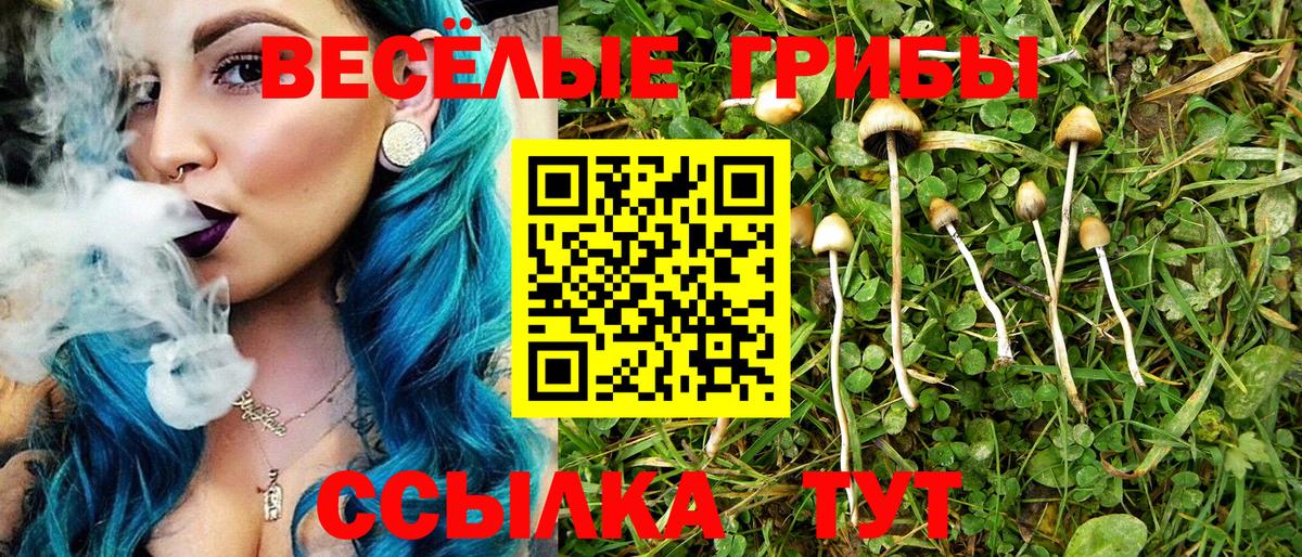 Псилоцибиновые грибы прущие грибы Волоколамск