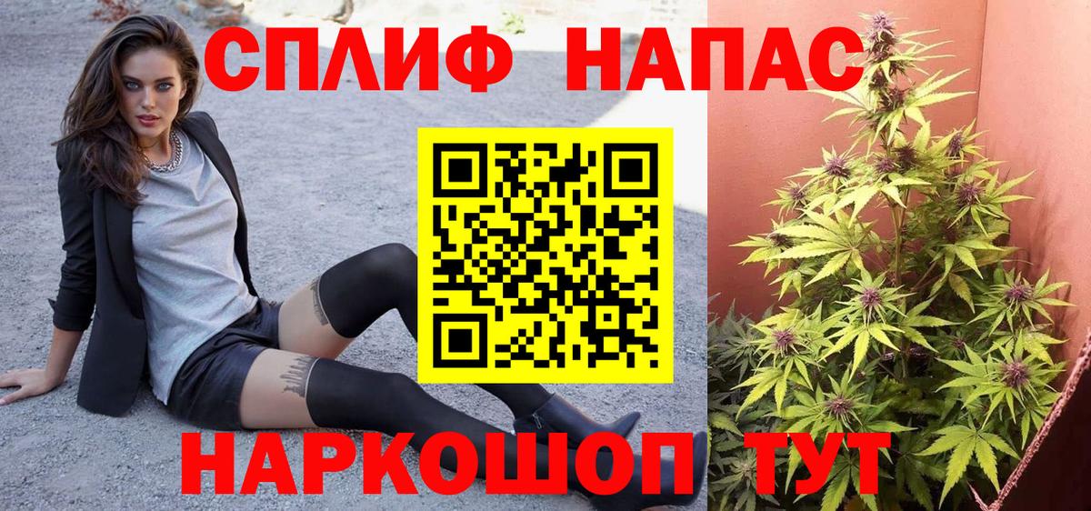 Каннабис сатива Волоколамск